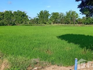 For sale land in Mueang Chaiyaphum, Chaiyaphum