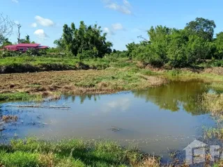 For sale land in Mueang Chaiyaphum, Chaiyaphum