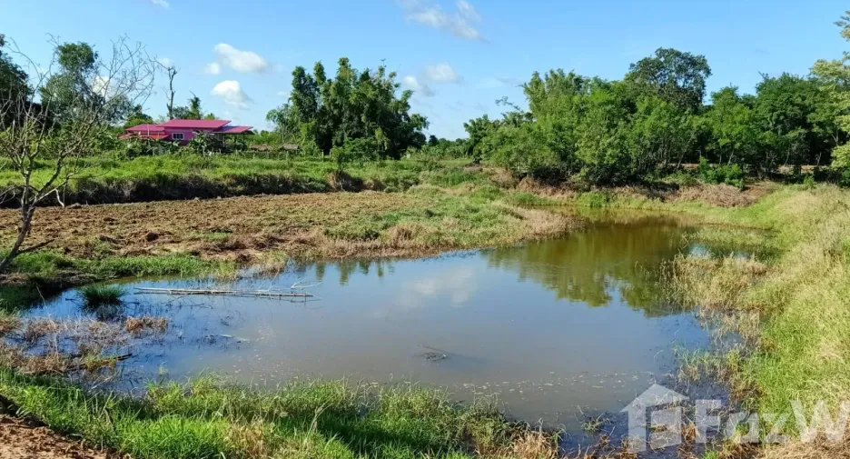 ขาย ที่ดิน ใน เมืองชัยภูมิ, ชัยภูมิ