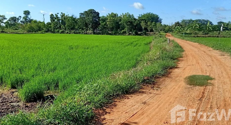ขาย ที่ดิน ใน เมืองชัยภูมิ, ชัยภูมิ