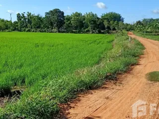For sale land in Mueang Chaiyaphum, Chaiyaphum