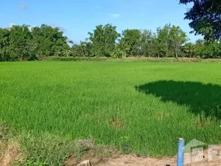 For sale land in Mueang Chaiyaphum, Chaiyaphum