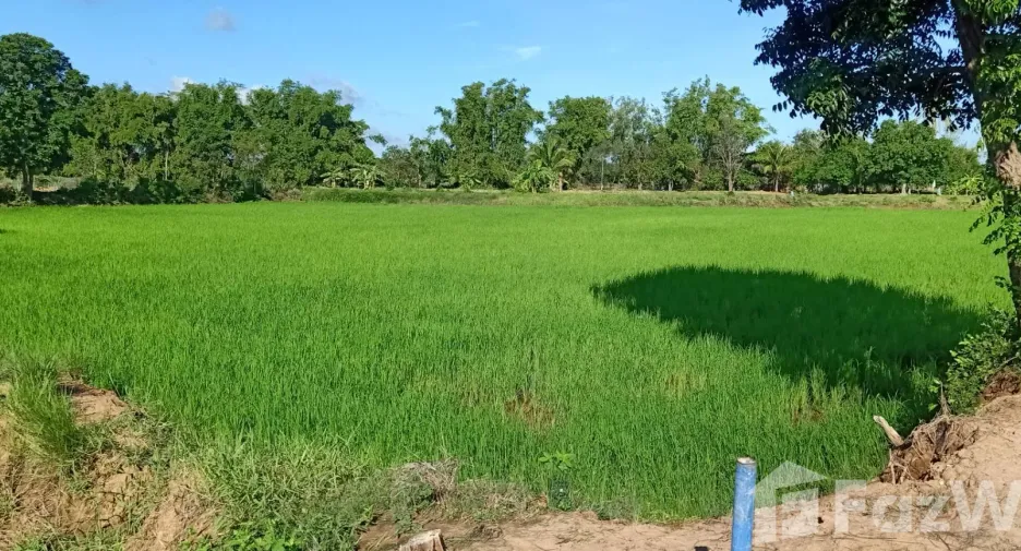 ขาย ที่ดิน ใน เมืองชัยภูมิ, ชัยภูมิ