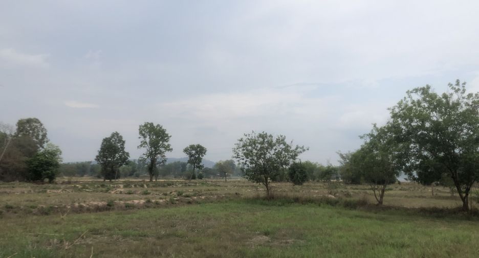 For sale land in Loeng Nok Tha, Yasothon