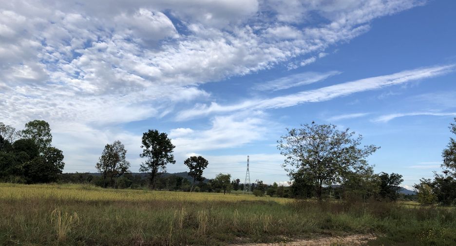 For sale land in Loeng Nok Tha, Yasothon