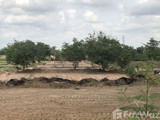 For sale land in Loeng Nok Tha, Yasothon