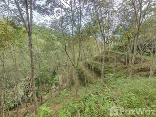 For sale land in Thai Mueang, Phang Nga