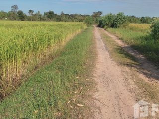 For sale land in Maha Chana Chai, Yasothon