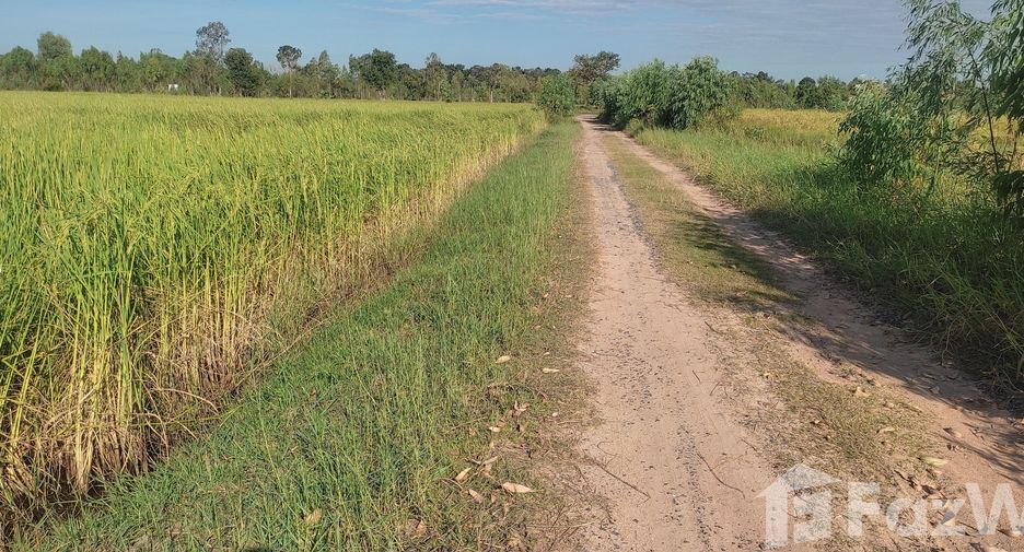 For sale land in Maha Chana Chai, Yasothon
