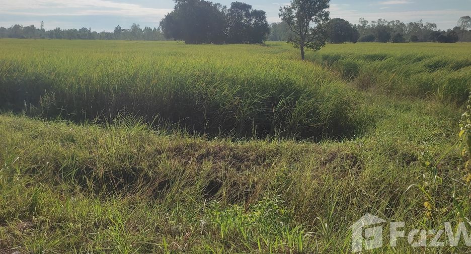For sale land in Maha Chana Chai, Yasothon