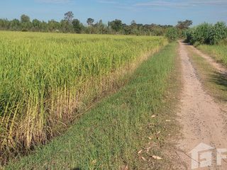 For sale land in Maha Chana Chai, Yasothon