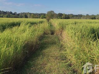 For sale land in Maha Chana Chai, Yasothon