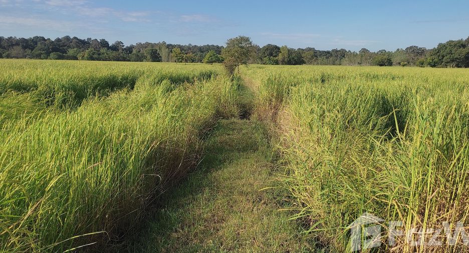 For sale land in Maha Chana Chai, Yasothon