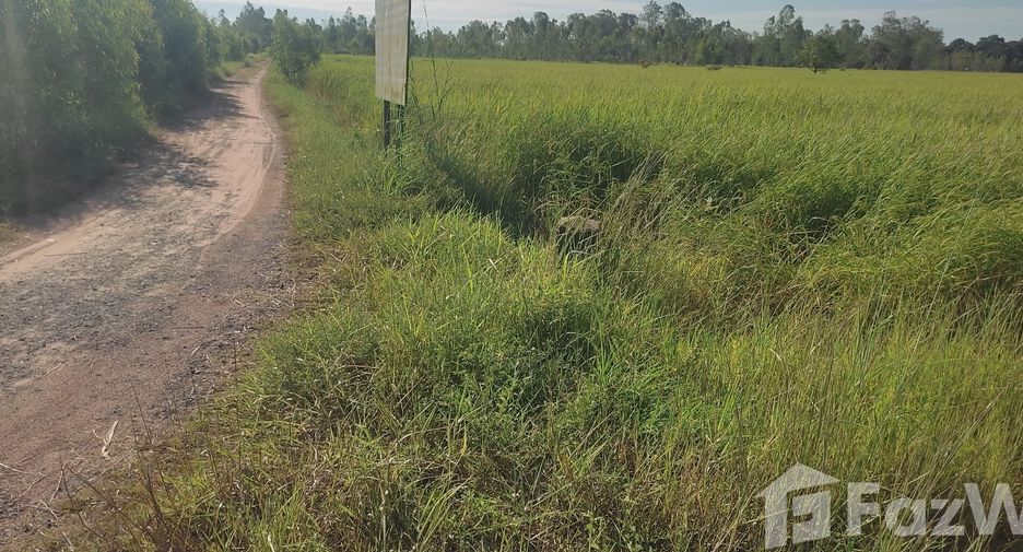 For sale land in Maha Chana Chai, Yasothon