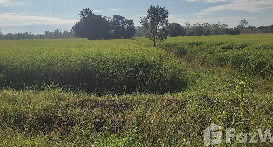 For sale land in Maha Chana Chai, Yasothon