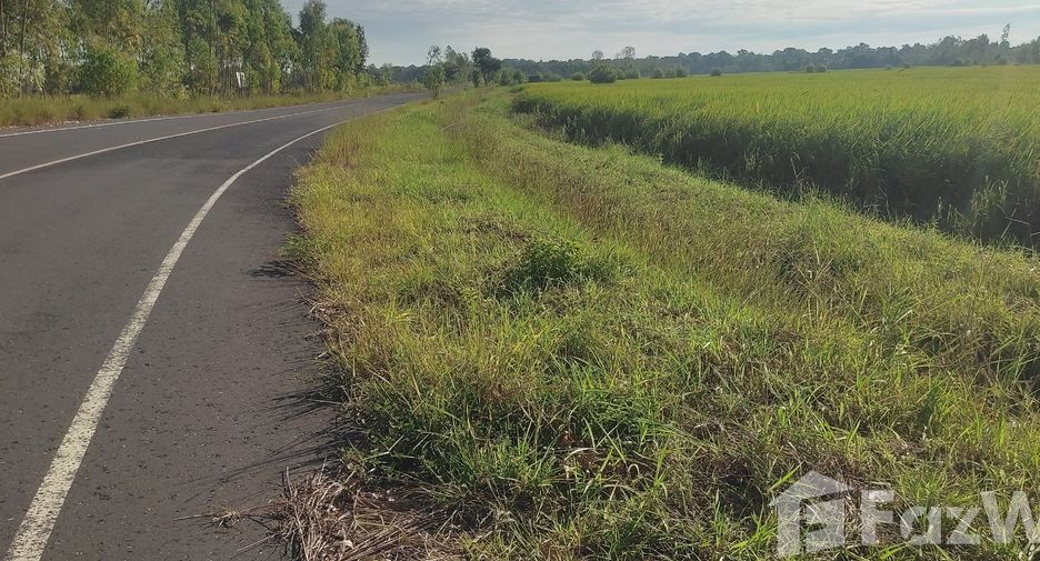 For sale land in Maha Chana Chai, Yasothon