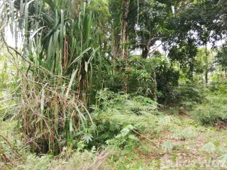 For sale land in Mueang Ranong, Ranong