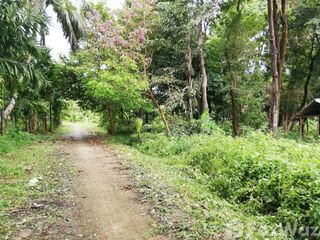 For sale land in Mueang Ranong, Ranong