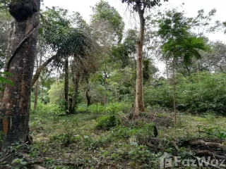 For sale land in Mueang Ranong, Ranong