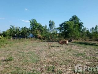 For sale land in Prasat, Surin