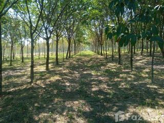 For sale land in Ban Dung, Udon Thani
