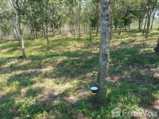 For sale land in Ban Dung, Udon Thani