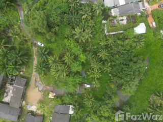 For sale land in Takua Pa, Phang Nga
