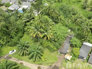 For sale land in Takua Pa, Phang Nga