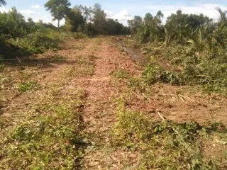 For sale land in Mueang Trat, Trat