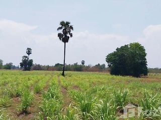 For sale land in Noen Kham, Chainat