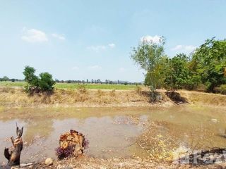 For sale land in Noen Kham, Chainat