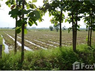 For sale land in Mueang Phayao, Phayao