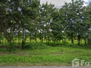 For sale land in Mueang Phayao, Phayao
