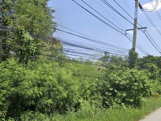 For sale land in Sung Noen, Nakhon Ratchasima