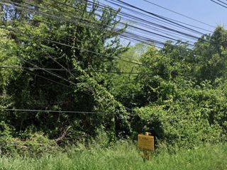 For sale land in Sung Noen, Nakhon Ratchasima