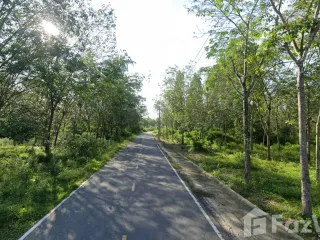 For sale land in Mueang Narathiwat, Narathiwat