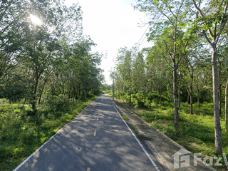For sale land in Mueang Narathiwat, Narathiwat