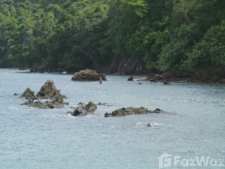 For sale land in Ko Yao, Phang Nga