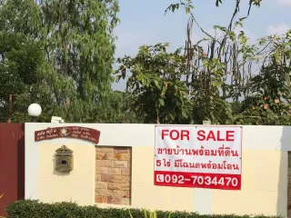 For sale land in Satuek, Buriram