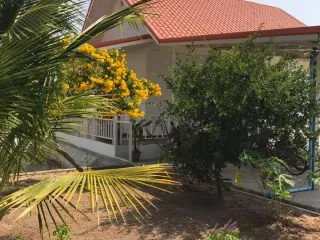 For sale land in Satuek, Buriram