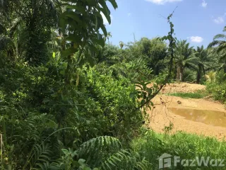 For sale land in La-un, Ranong