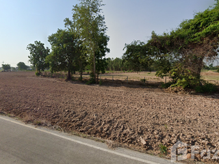 For sale land in Noen Kham, Chainat