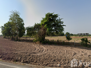 For sale land in Noen Kham, Chainat
