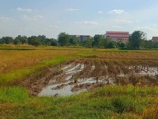 For sale land in Mueang Chaiyaphum, Chaiyaphum