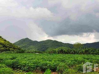 For sale land in Ban Rai, Uthai Thani