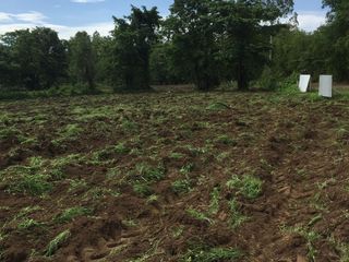 For sale land in Mueang Buriram, Buriram