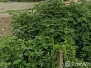 For sale land in Chiang Khan, Loei