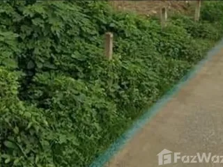 For sale land in Chiang Khan, Loei