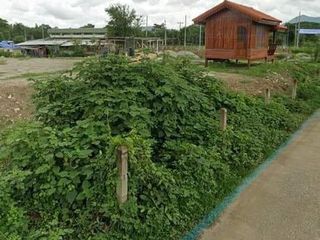 For sale land in Chiang Khan, Loei