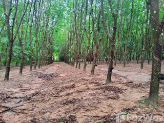For sale land in Phu Phiang, Nan